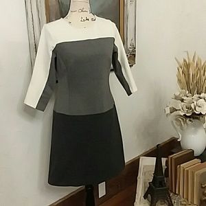 LAST CHANCE! Ann Taylor Stretch Cotton Dress, Sz 4